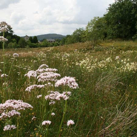 קונווי Snowdonia Shepherds' Huts מראה חיצוני תמונה